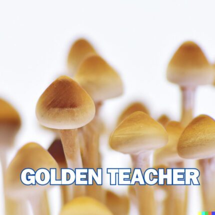 Golden Teacher Spore Syringe