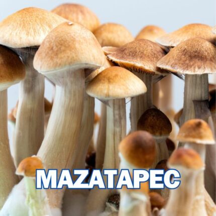 Mazatapec Spore Syringe