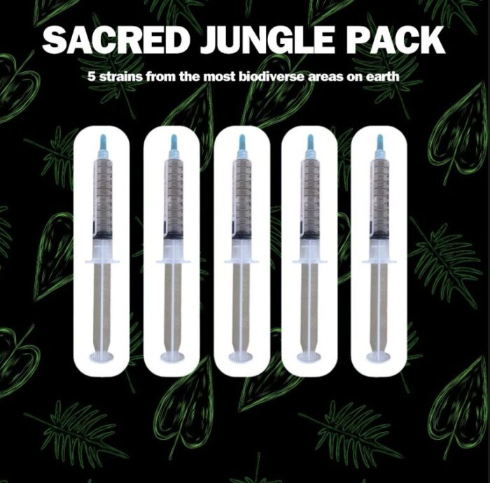 Sacred Jungle 5-Pack