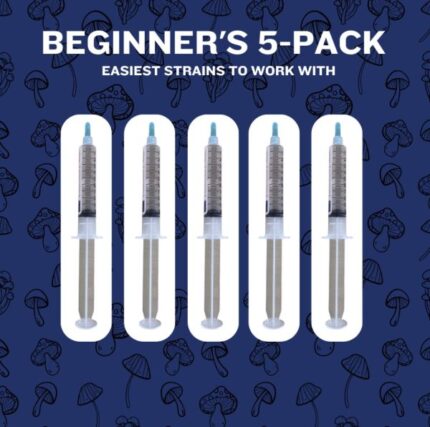 Beginner 5-Pack